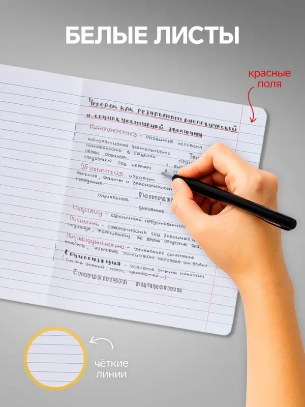 Комплект тетрадей из 10 штук, 12 листов в линию Calligrata &laquo;Пушистики&raquo;, обложка мелованный картон, ВД-лак, блок офсет, 5 видов по 2 штуки