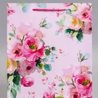 Пакет подарочный ламинированный &laquo;Комплимент&raquo;, 26&times;12&times;32 см