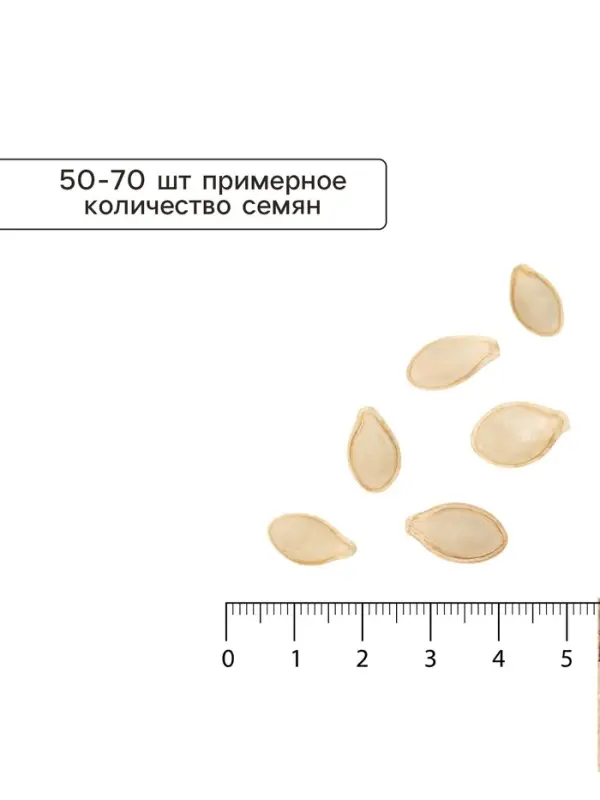 Семена Кабачок Грибовский 37 Агроуспех Много-Выгодно 10г (100)