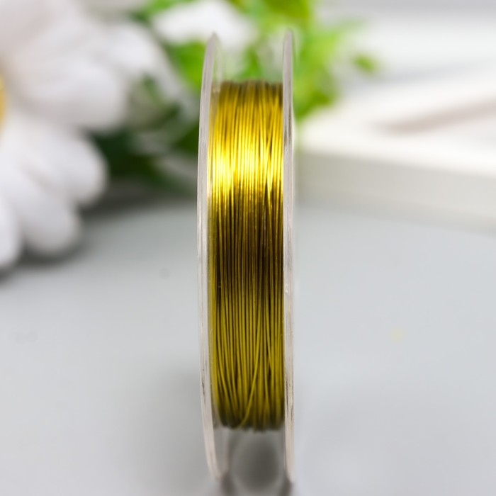 Проволока для бисера d 0,3 мм, золото рул.10 м Проволока для бисера d 0,3 мм, золото рул.10 м