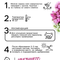 Семена цветов Алиссум &laquo;Ежевичные меренги&raquo;, 5 шт.