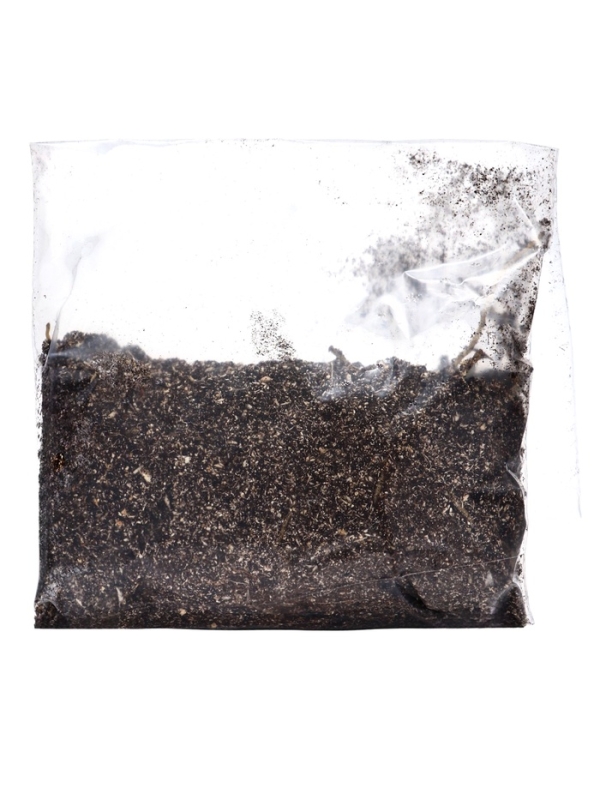 Лилия Азиатская Кашпо "Happy Snow ", р-р 12/14, 2 шт, Весна 2025, ЭКОНОМ,