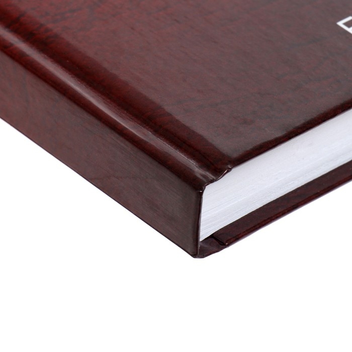 Ежедневник недатированный А5, 128 листов Ежедневник недатированный А5, 128 листов "ГЕРБ РФ", твёрдая обложка, глянцевая ламинация, сине-красный