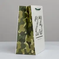 Пакет подарочный ламинированный, упаковка, &laquo;23 февраля&raquo;, MS 18&times;23&times;10 см