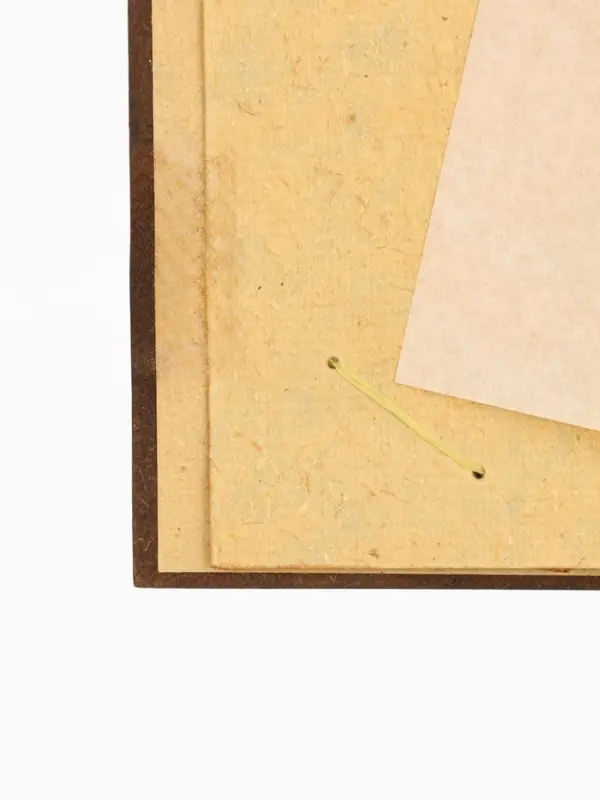 Фотоальбом &laquo;Черепаха&raquo;, 10 листов, 19&times;19&times;2 см, коричневый