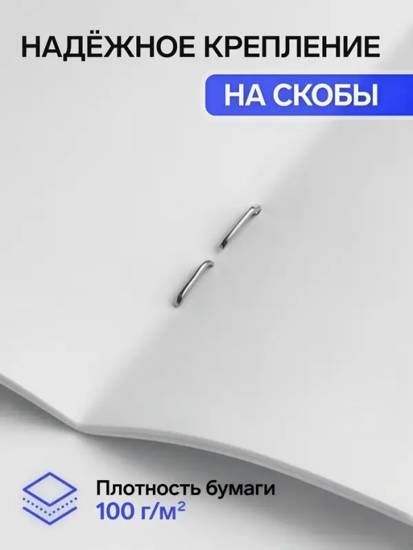 Альбомы для рисования Calligrata, 2 штуки, А4, 40 листов, на скрепке