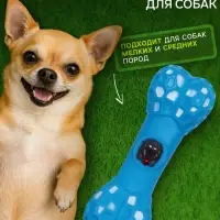 Игрушка для собак &laquo;Кость с портретом&raquo;, 15 см, пищащая, винил, голубая
