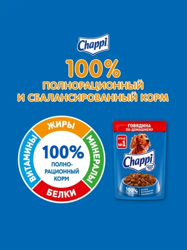 Влажный корм Chappi для собак, с говядиной по-домашнему, пауч, 85 г