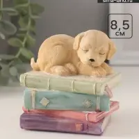 Фигурка полистоун &laquo;Щенок спит на книгах&raquo;, 9&times;7&times;8.5 см