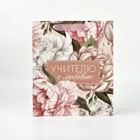 Подарочный набор &laquo;Учителю с любовью&raquo;, пакет и открытка,  ML 27 &times; 23 &times; 11,5 см