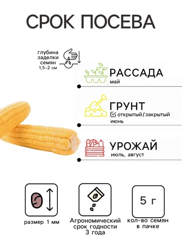 Семена Кукуруза сахарная «Лакомка», 5 г, «Сембат» Семена Кукуруза сахарная «Лакомка», 5 г, «Сембат»