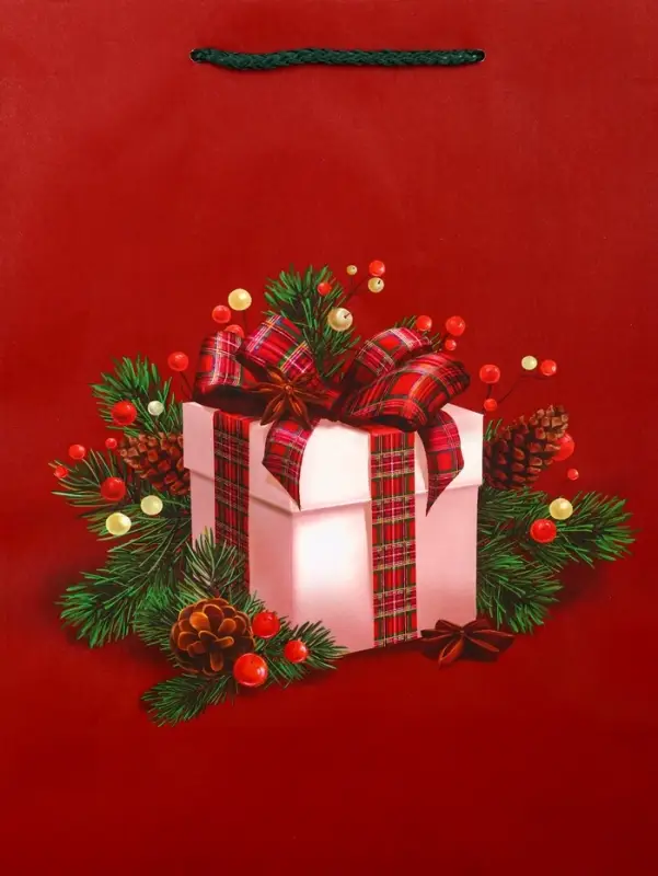 Пакет подарочный новогодний ламинированный, «Подарки» , 26×12×32 см Пакет подарочный новогодний ламинированный, «Подарки» , 26×12×32 см