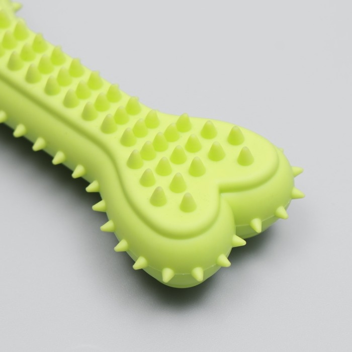 Игрушка жевательная литая Игрушка жевательная литая "Кость для массажа", 11 х 4 х 2 см, салатовая