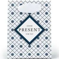 Пакет подарочный ламинированный, упаковка, &laquo;Мужской&raquo;, 9 х 12 х 6.5 см