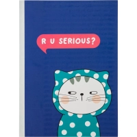 Тетрадь общая So Many Cats 60л, B5, блок бел, клетка,в ассортимент