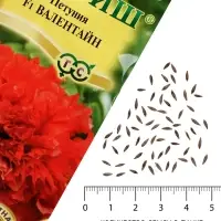 Семена цветов Петуния &laquo;Валентайн F1&raquo;, махровая, крупноцветковая, однолетник, гранулы, &laquo;Гавриш&raquo;