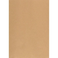 Пакет в упаковке Крафт С4стрип Multipack 229х324 100г 50шт/уп/5702