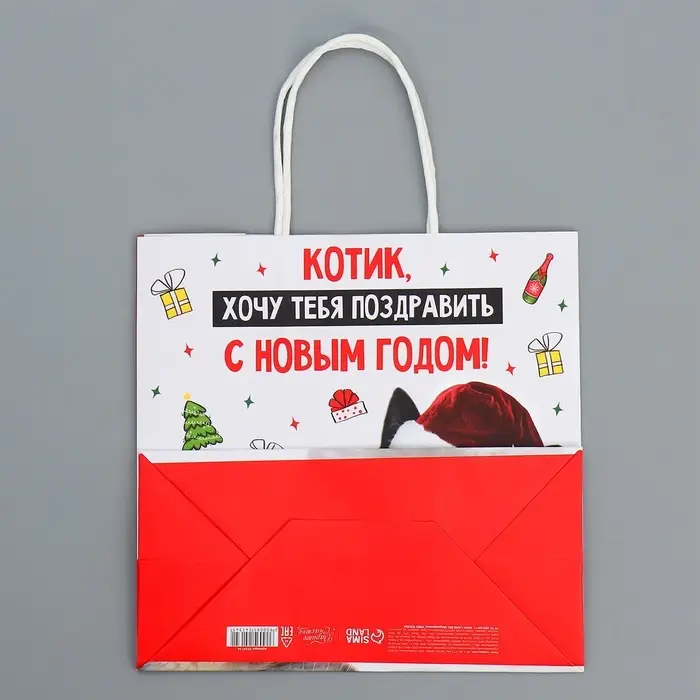 Пакет подарочный новогодний крафтовый &laquo;Котик&raquo;, 22&times;22&times;11 см