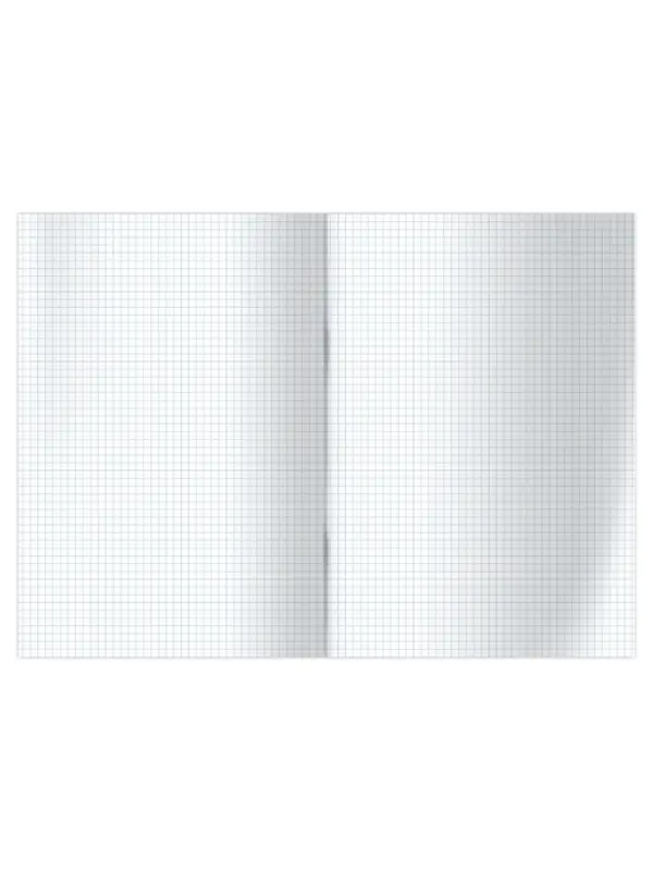 Книга учета А4, 96 листов, клетка, 200&times;290 мм, обложка картон 7Б, белый, блок офсетный