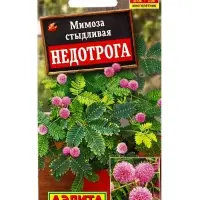 Семена цветов Мимоза Недотрога Мн, Ц/П,10 шт.