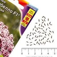 Семена цветов Петуния &laquo;Минибелло&raquo; F1, сиреневая звезда, многоцветковая, 5 шт., Farao, &laquo;АЭЛИТА&raquo;