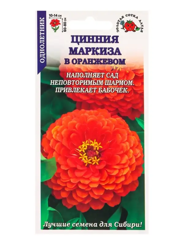 Семена Цинния Маркиза в Оранжевом /Сотка/ 0,2г/ h-90см, d-15см / *1000 Семена Цинния Маркиза в Оранжевом /Сотка/ 0,2г/ h-90см, d-15см / *1000