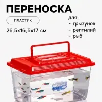 Переноска прямоугольная, 26.5&times;16.5&times;17 см, красная