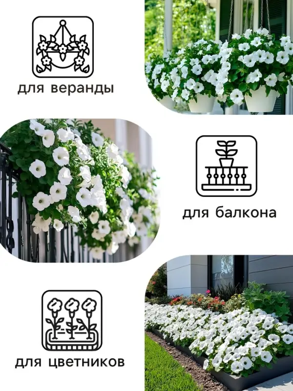 Семена цветов Петуния &laquo;Мамбо&raquo;, F1, белая многоцветковая, 7 шт., однолетник, &laquo;Аэлита&raquo;