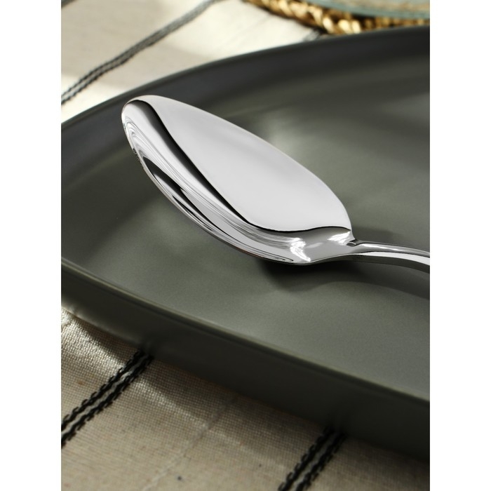 Ложка столовая из нержавеющей стали, длина 20 см, цвет серебряный Ложка столовая из нержавеющей стали, длина 20 см, цвет серебряный