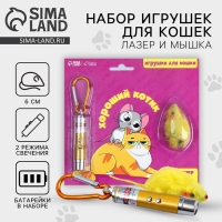 Игрушка для кошек лазер+мышь «‎Хороший котик»‎