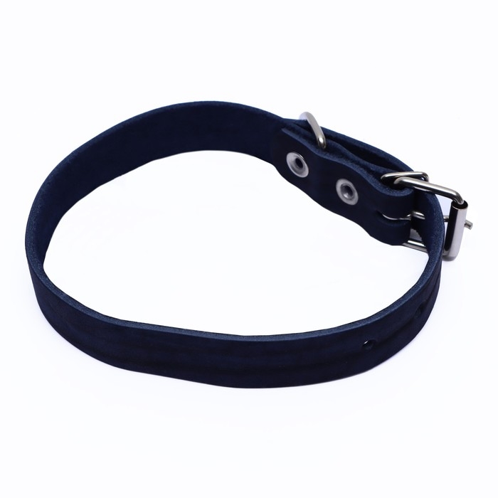 Ошейник кожаный однослойный, 45 х 2 см, ОШ 25-35 см, синий Ошейник кожаный однослойный, 45 х 2 см, ОШ 25-35 см, синий