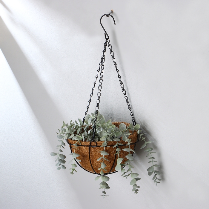 Кашпо подвесное, d = 20 см, с кокосовым вкладышем, «Полусфера» Кашпо подвесное, d = 20 см, с кокосовым вкладышем, «Полусфера»