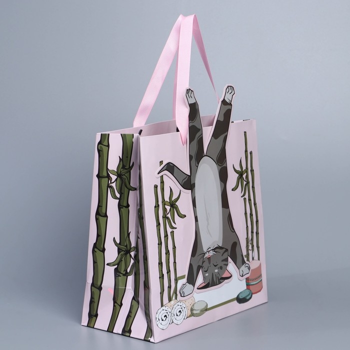 Пакет подарочный, упаковка, «Йога», 22 х 22 х 10 см Пакет подарочный, упаковка, «Йога», 22 х 22 х 10 см