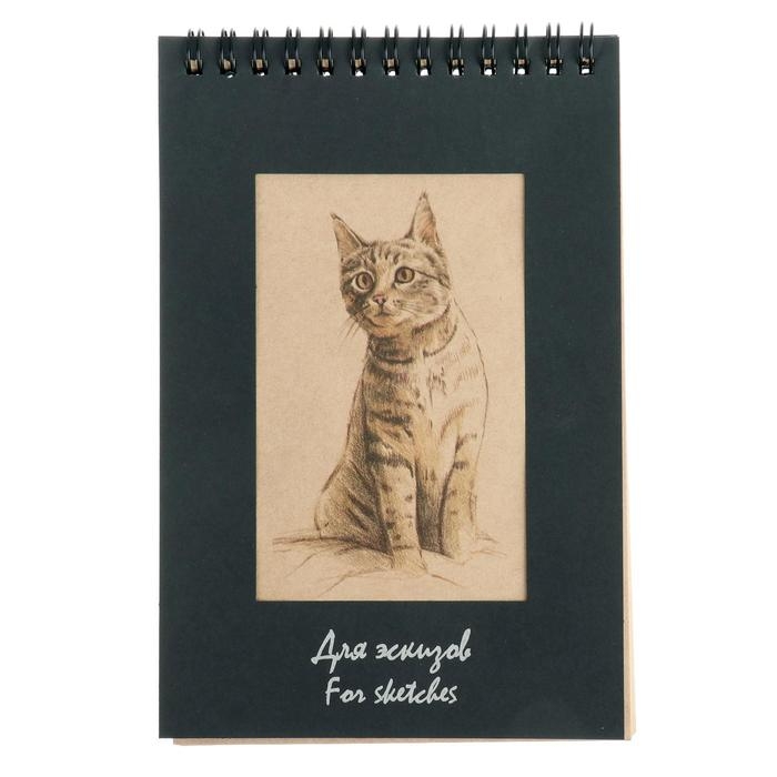 Блокнот для эскизов 120 х 180 мм, 50 листов "Котёнок", 70 г/м&sup2;