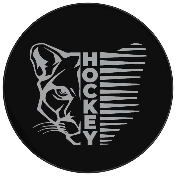 Шайба хоккейная Winter Star, взрослая, d=7,6 см Шайба хоккейная Winter Star, взрослая, d=7,6 см