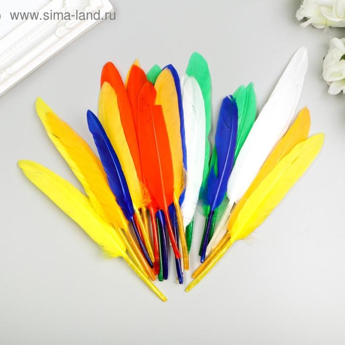 Перья декоративные прямые, 10-15 см (набор 24 шт) 6 цветов, яркие, ассорти Перья декоративные прямые, 10-15 см (набор 24 шт) 6 цветов, яркие, ассорти