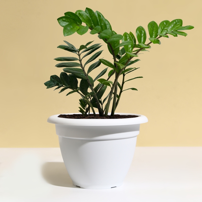 Горшок для цветов, d = 35 см, 12 л, пластик, белый Горшок для цветов, d = 35 см, 12 л, пластик, белый