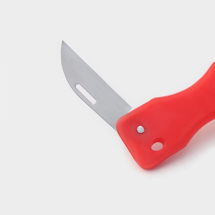 Рыбочистка многофункциональная Доляна «Комфорт», 3 в 1, 19 см, с контейнером и ножом, цвет МИКС Рыбочистка многофункциональная Доляна «Комфорт», 3 в 1, 19 см, с контейнером и ножом, цвет МИКС