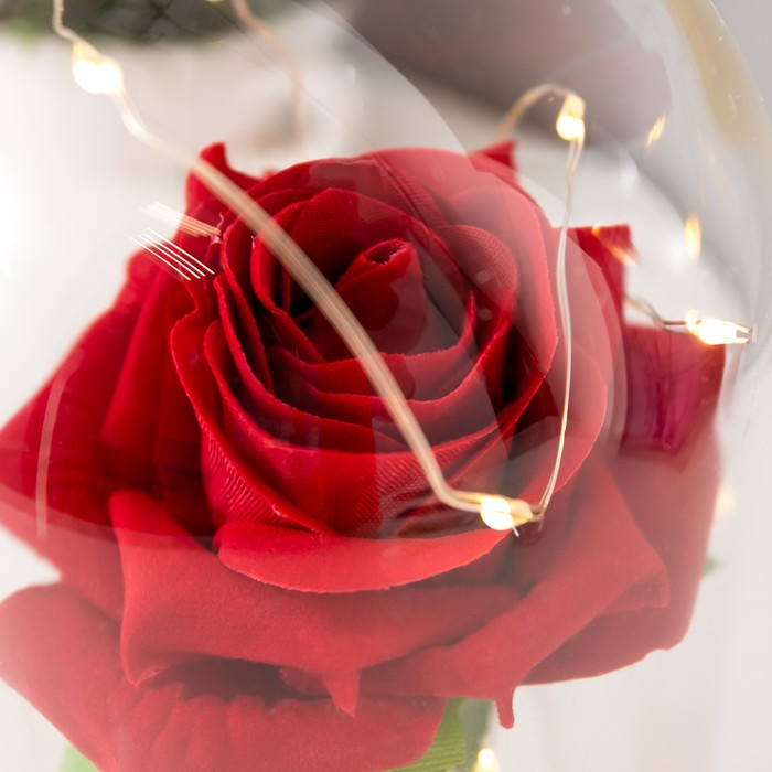 Ночник Ночник "Колба с алой розой" LED от батареек 3ААА 19,5х9,5х9,5 см RISALUX