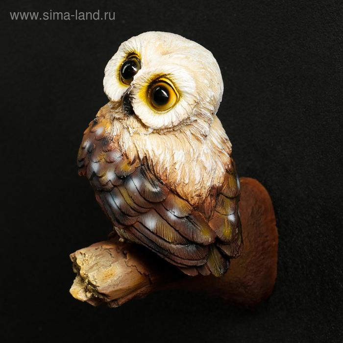 Подвесной декор  Подвесной декор "Совушка" 13х9х17см