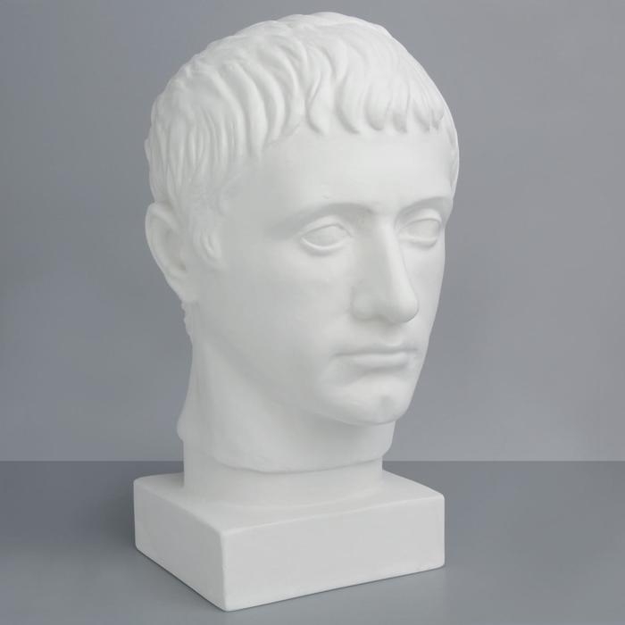 Гипсовая фигура Голова Германика, 19 х 25 х 36 см Гипсовая фигура Голова Германика, 19 х 25 х 36 см