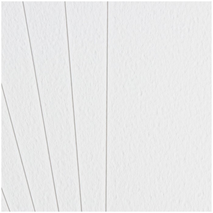 Бумага для акварели в папке А3, 15 листов, Гамма "Студия", 200 г/м2, среднее зерно