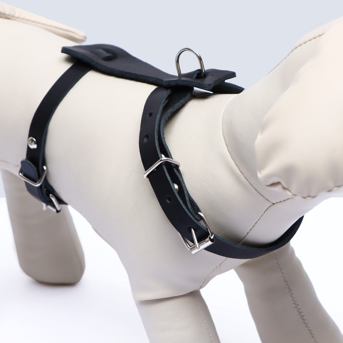 Шлейка кожаная, 1,2 см, для кошек и мелких пород собак, ОШ 26-34, ОГ 36-44, черная Шлейка кожаная, 1,2 см, для кошек и мелких пород собак, ОШ 26-34, ОГ 36-44, черная