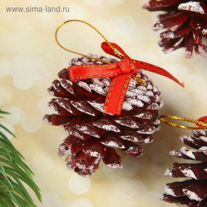 Набор природного декора Набор природного декора "Заснеженые шишки", с бантиком, набор 6 шт.