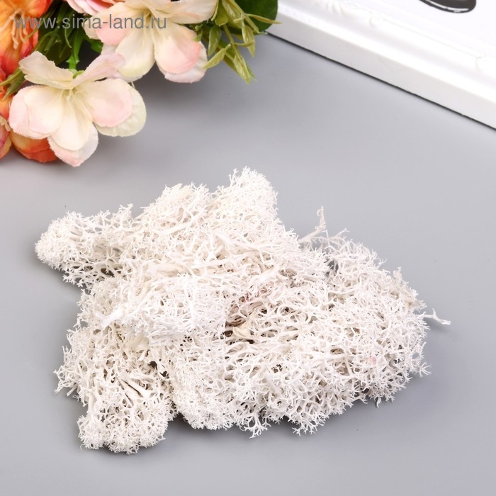 Мох искусственный Мох искусственный "Белый" 10 гр