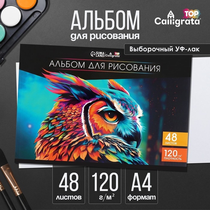 Альбом для рисования А4, 48 листов на склейке Calligrata TOP, обложка мелованный картон, выборочный УФ-лак, блок офсет 120г/м2 Альбом для рисования А4, 48 листов на склейке Calligrata TOP, обложка мелованный картон, выборочный УФ-лак, блок офсет 120г/м2