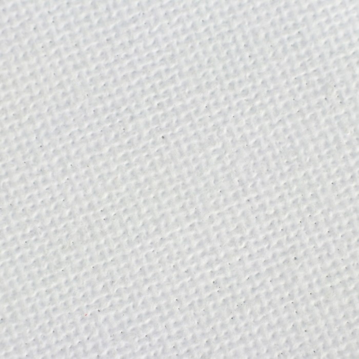 Холст на картоне 35 х 45 см, хлопок 100%, акриловый грунт, мелкозернистый, ЗХК Холст на картоне 35 х 45 см, хлопок 100%, акриловый грунт, мелкозернистый, ЗХК "Сонет", DK13701-35х45