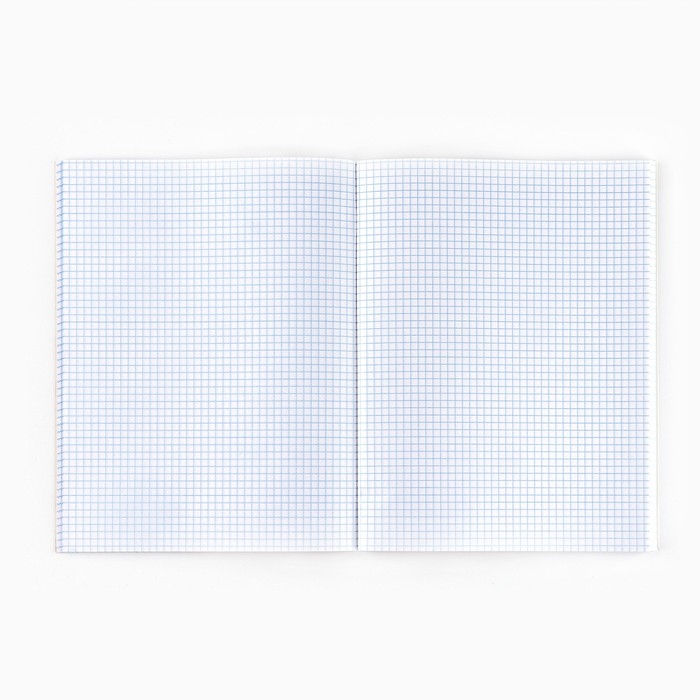 Тетрадь в клетку А4, 80 листов на скрепке &laquo;1 сентября:Natural&raquo;