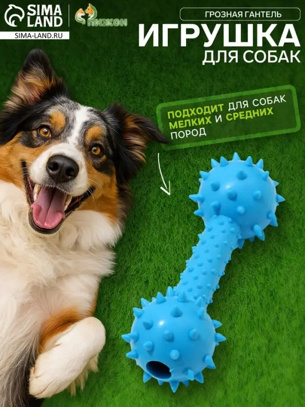 Жевательная игрушка для собак &laquo;Грозная гантель&raquo;, 15&times;5 см, синяя