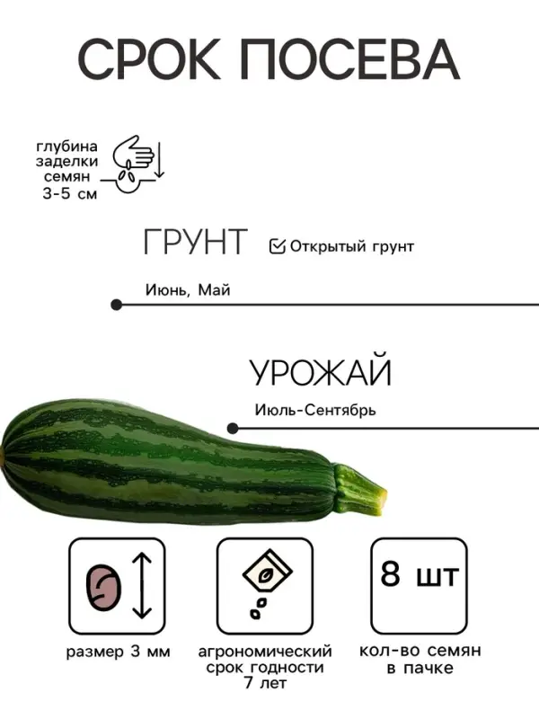 Семена Кабачок белоплодный &laquo;Грибовские 37&raquo;, 8 шт., &laquo;Аэлита&raquo;